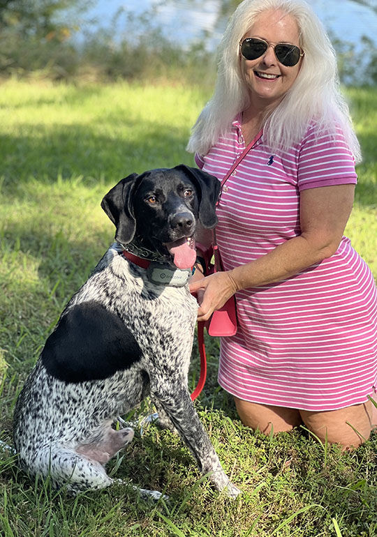 Pongo